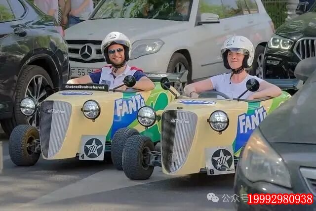 插入的图片