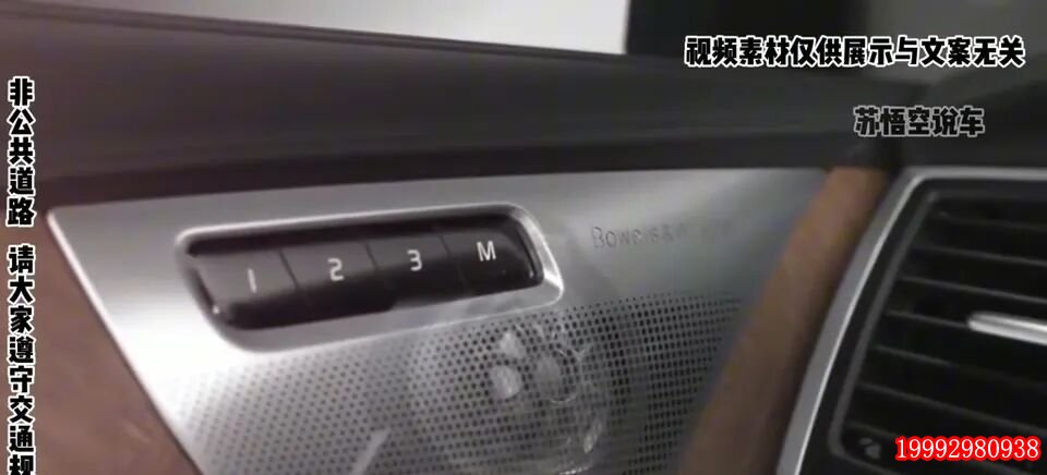 车载宝华韦健音响特写